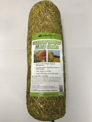 PondXpert Barley Straw Midi Bale
