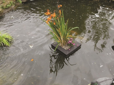 PondXpert Floating Planter Square 25cm
