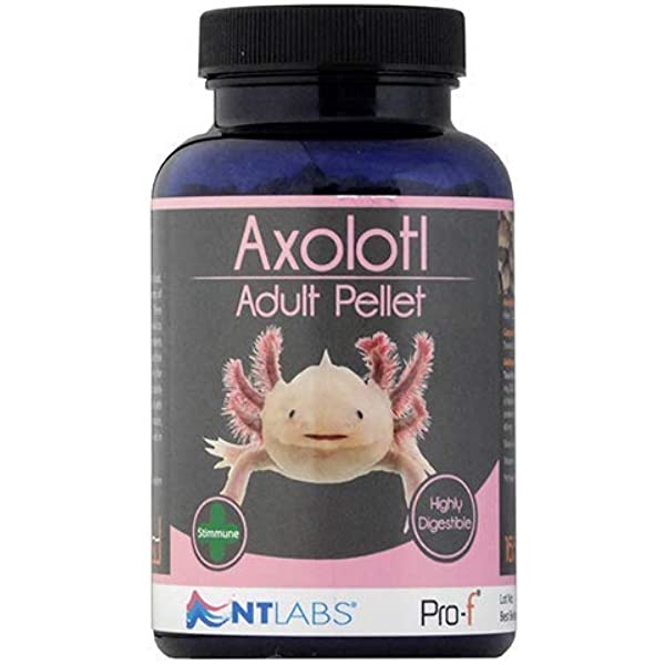 Axolotl fish hot sale food