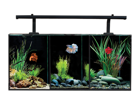 Aqua One Betta Trio