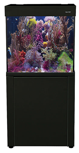 All in one marine aquarium clearance