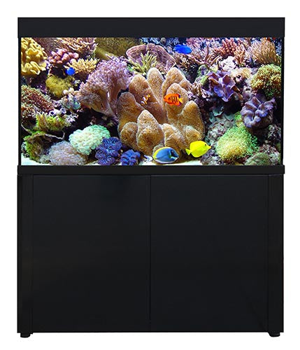 Aqua one shop marine fish tank