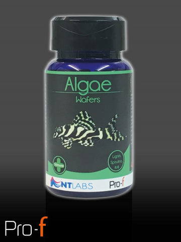 NT LABS Pro-f Algae Wafers
