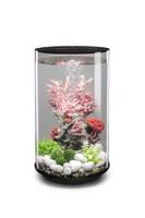 Biorb tube 35 online
