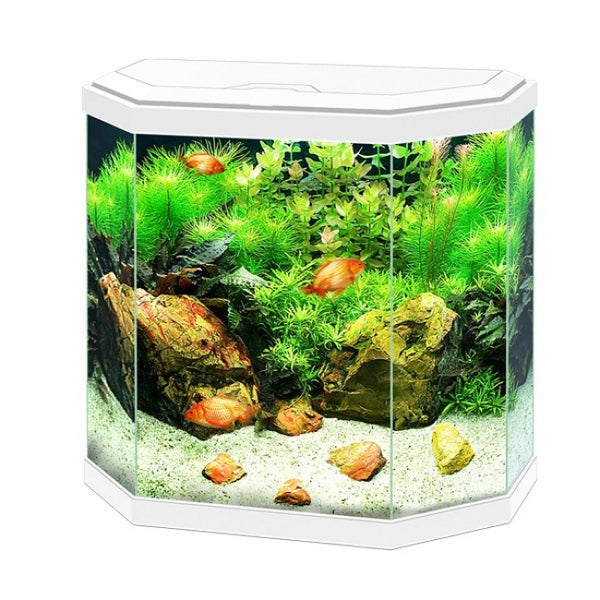 Ciano Aquarium Acres Aquatics