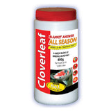 Cloverleaf Blanket Answer All Season
