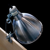 Arcadia Reflector Clamp Lamp