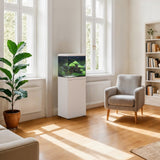 Vio Cube 54