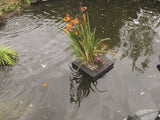 PondXpert Floating Planter Square 25cm
