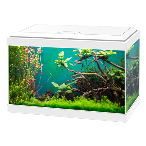 Ciano Aqua 20 Classic Aquarium