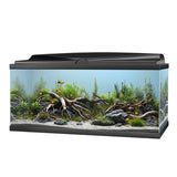 Ciano Aqua 85 LED Aquarium