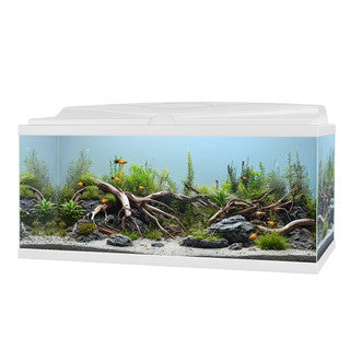 Ciano Aqua 85 LED Aquarium