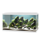 Ciano Aqua 60 Pro LED Aquarium