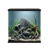 Ciano Aqua 30 Aquarium