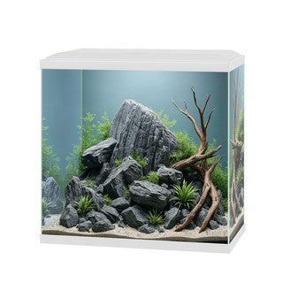 Ciano Aqua 30 Aquarium