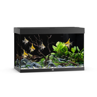 Juwel Rio 290 Aquarium ONLY