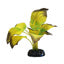Betta Choice 20cm Silk Yellow & Brown Plant