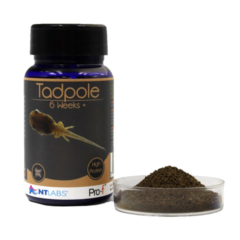 NT Labs Pro-f Tadpole 6 Weeks+ 50g