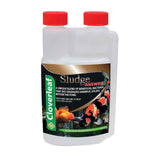 Cloverleaf Sludge Answer