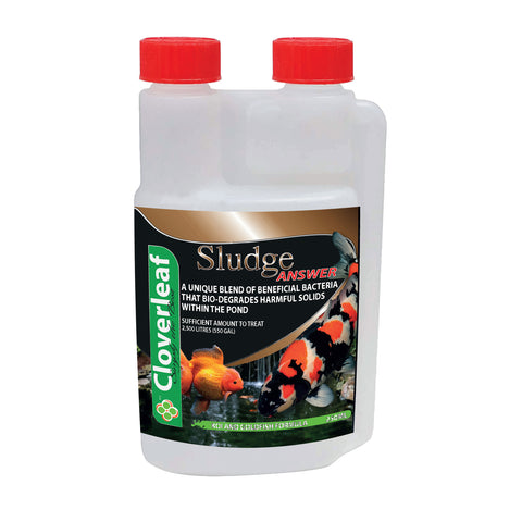 Cloverleaf Sludge Answer