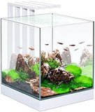 Ciano Nexus LED