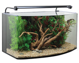 AquaNano Bow-fronted aquarium 80B