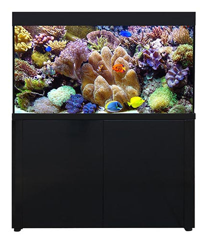 400 litre outlet fish tank