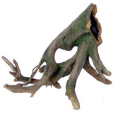 XXL Root