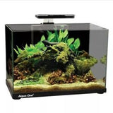 Aqua One Focus Aquarium